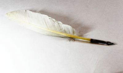 white quill pen - sheffield, art 813240B
