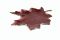 red plane tree leaf in light alloy, art 9716206