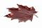 red grape tree leaf in light alloy, art 9716207