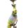 coloured parrot shaped candle holder, art 0659700